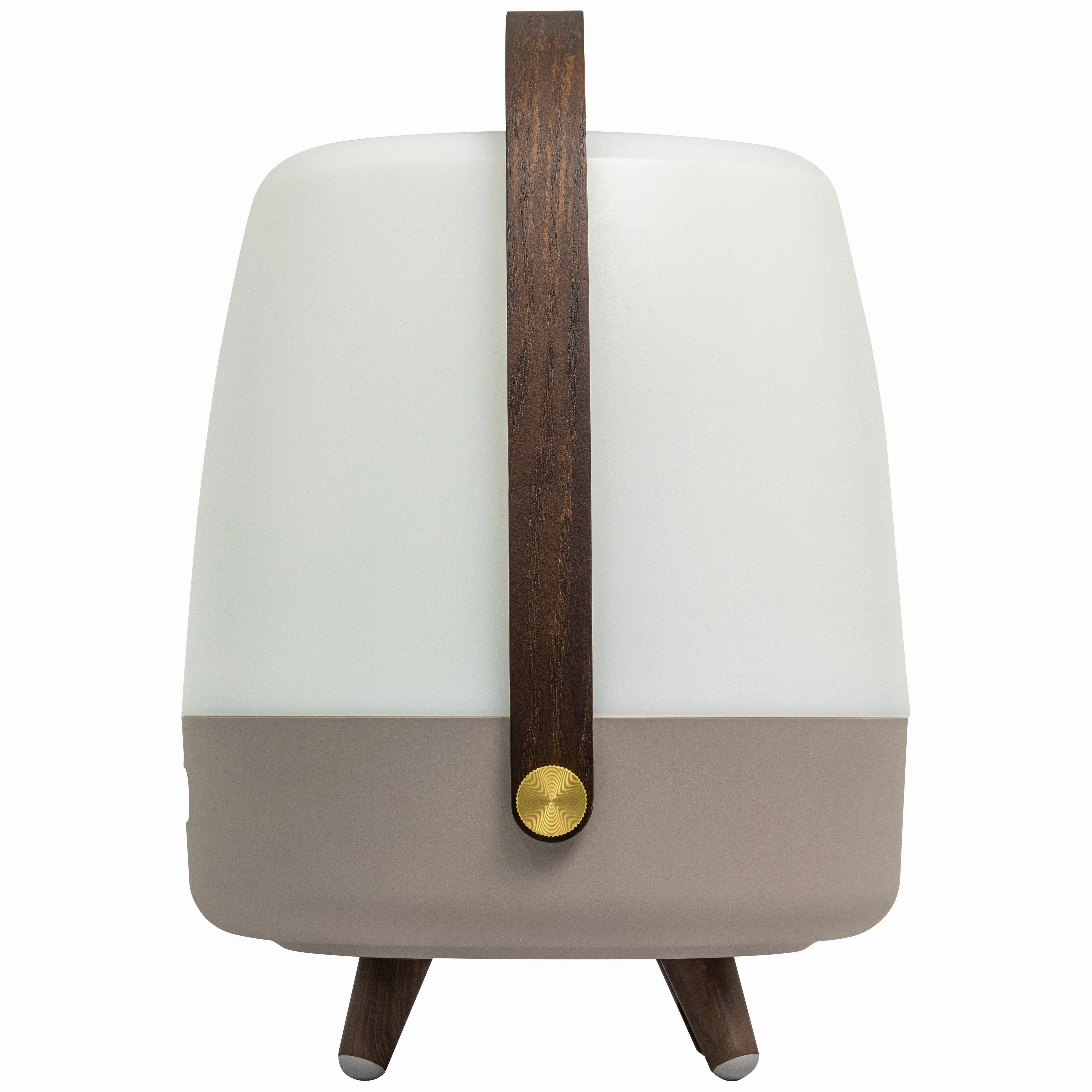 Lite Up Play Rechargeable Indoor/Outdoor Speaker Lamp