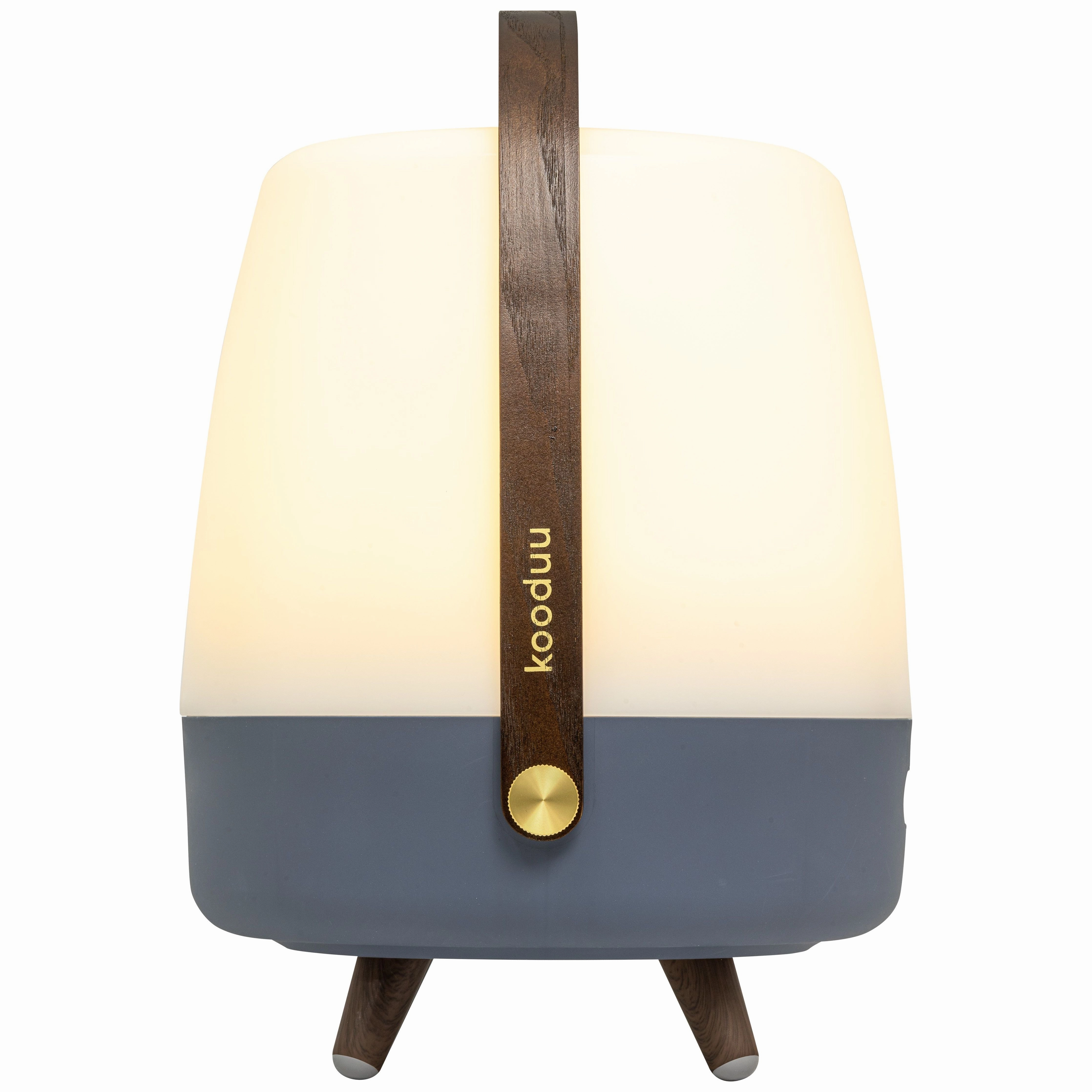 Lite Up Play Rechargeable Indoor/Outdoor Speaker Lamp