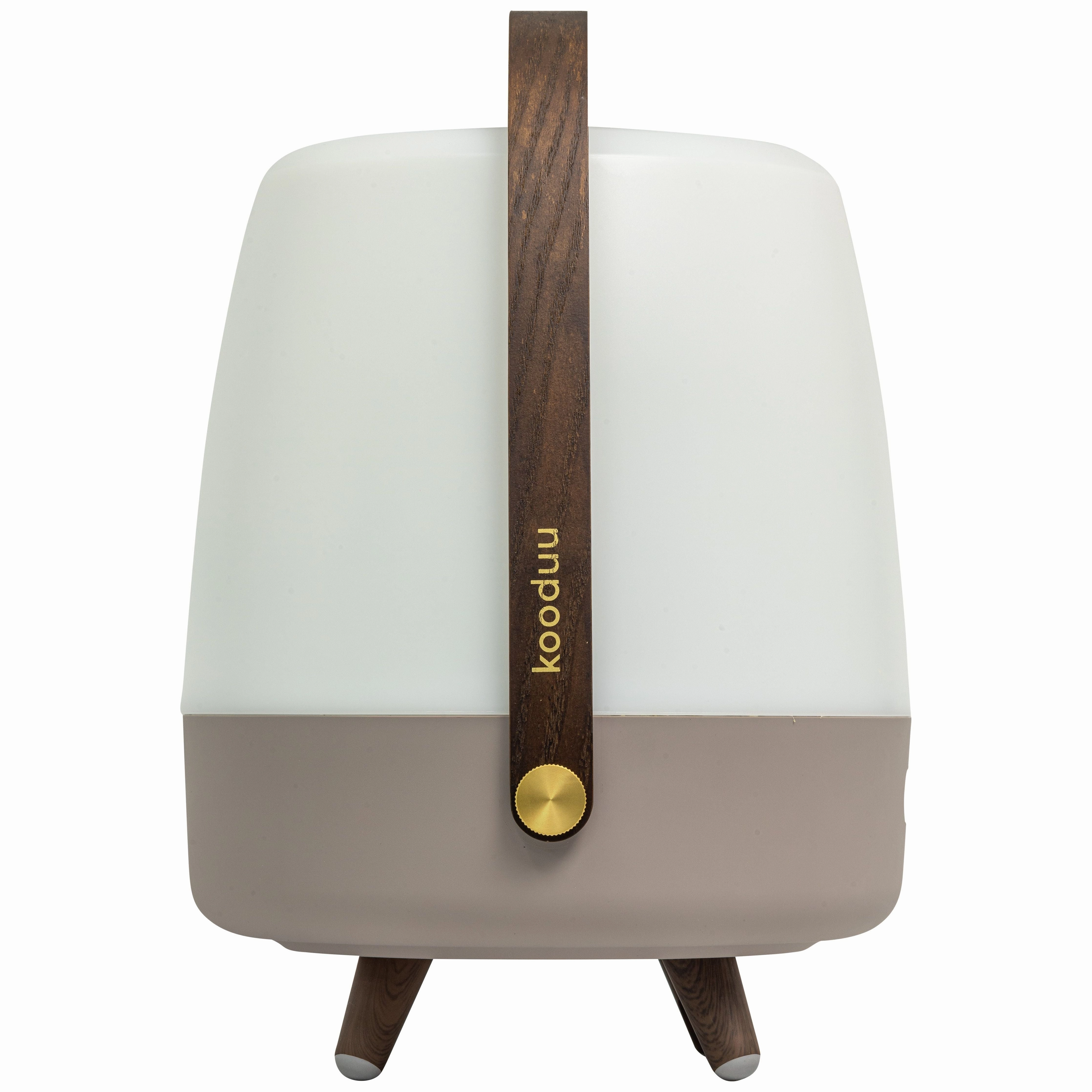 Lite Up Play Rechargeable Indoor/Outdoor Speaker Lamp