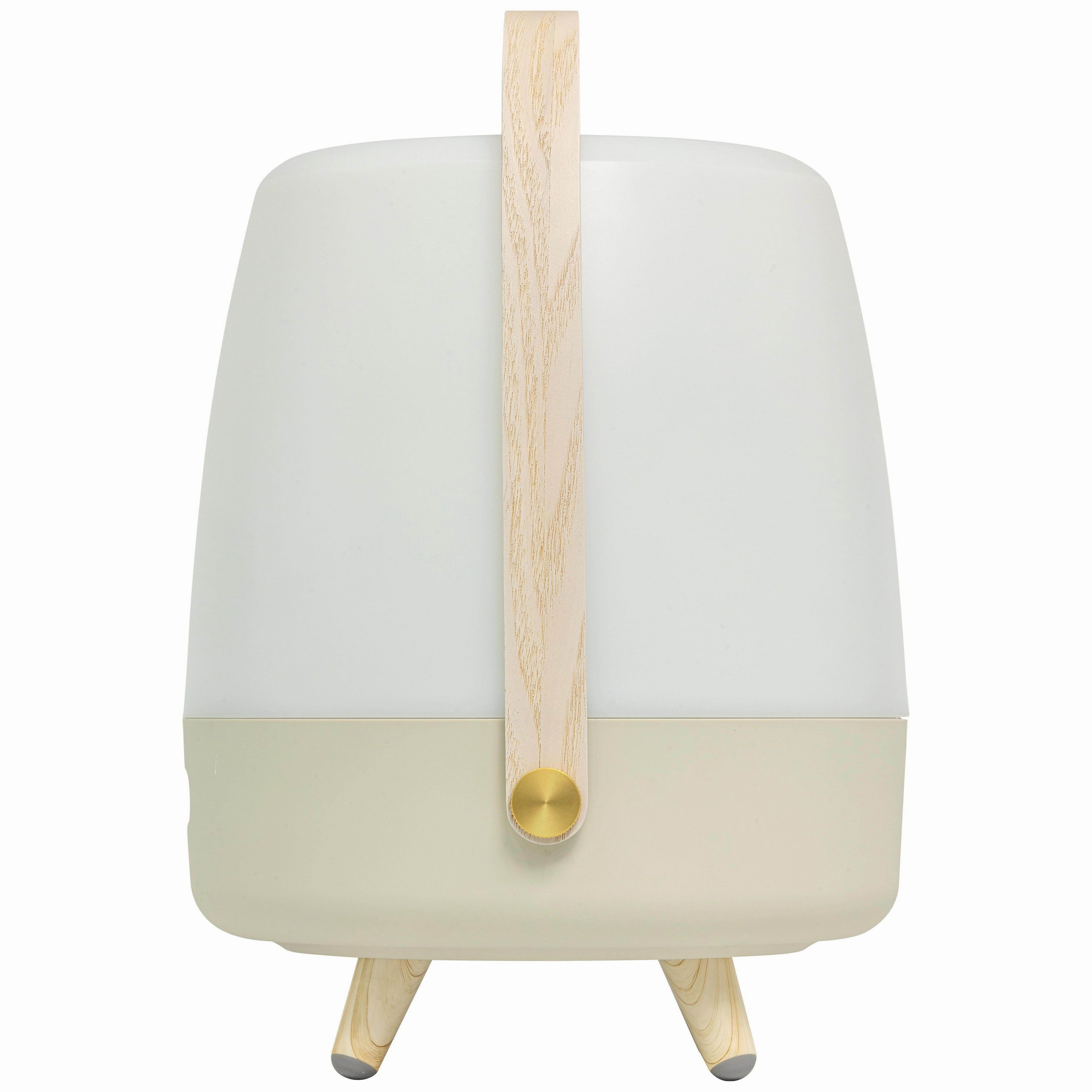 Lite Up Play Rechargeable Indoor/Outdoor Speaker Lamp