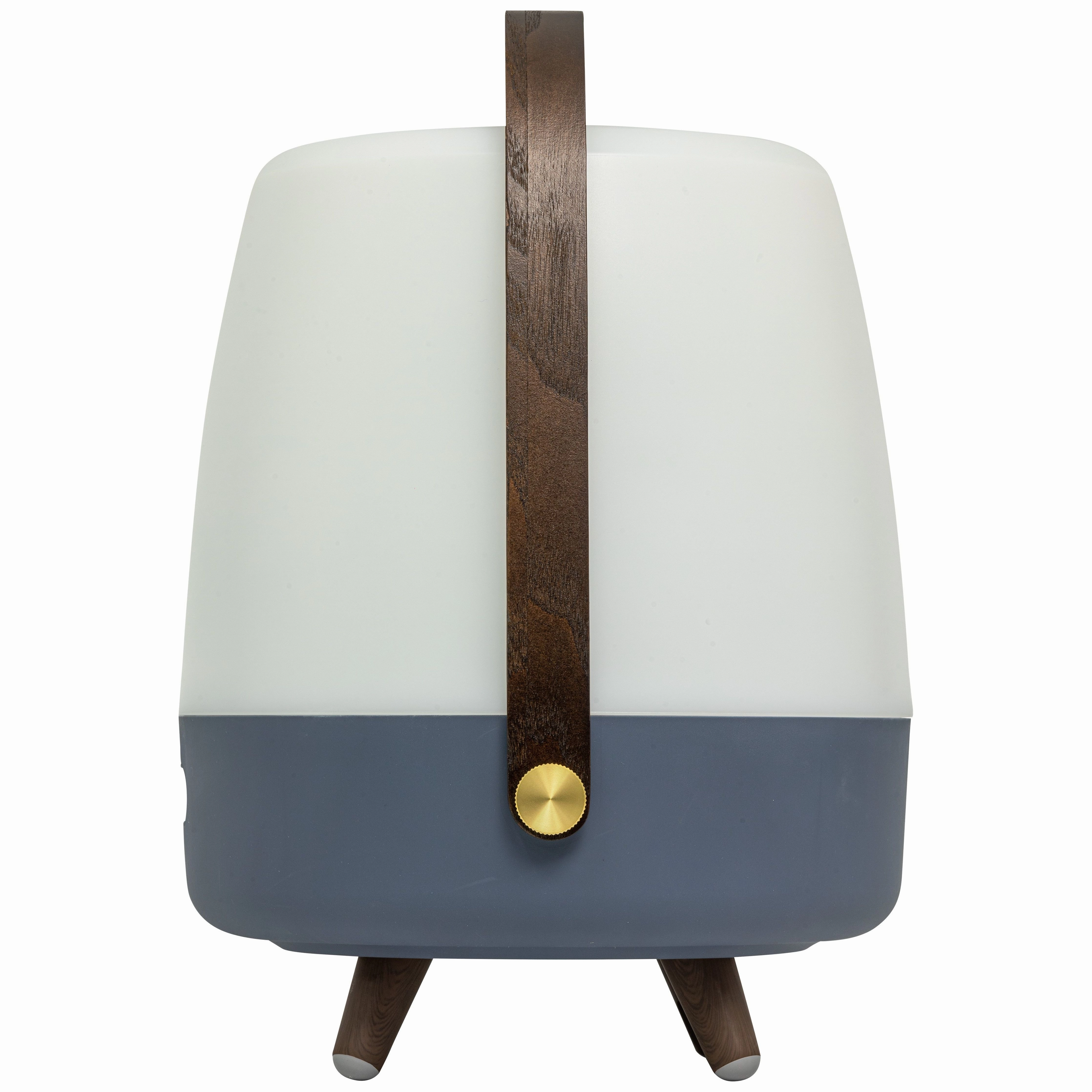 Lite Up Play Rechargeable Indoor/Outdoor Speaker Lamp