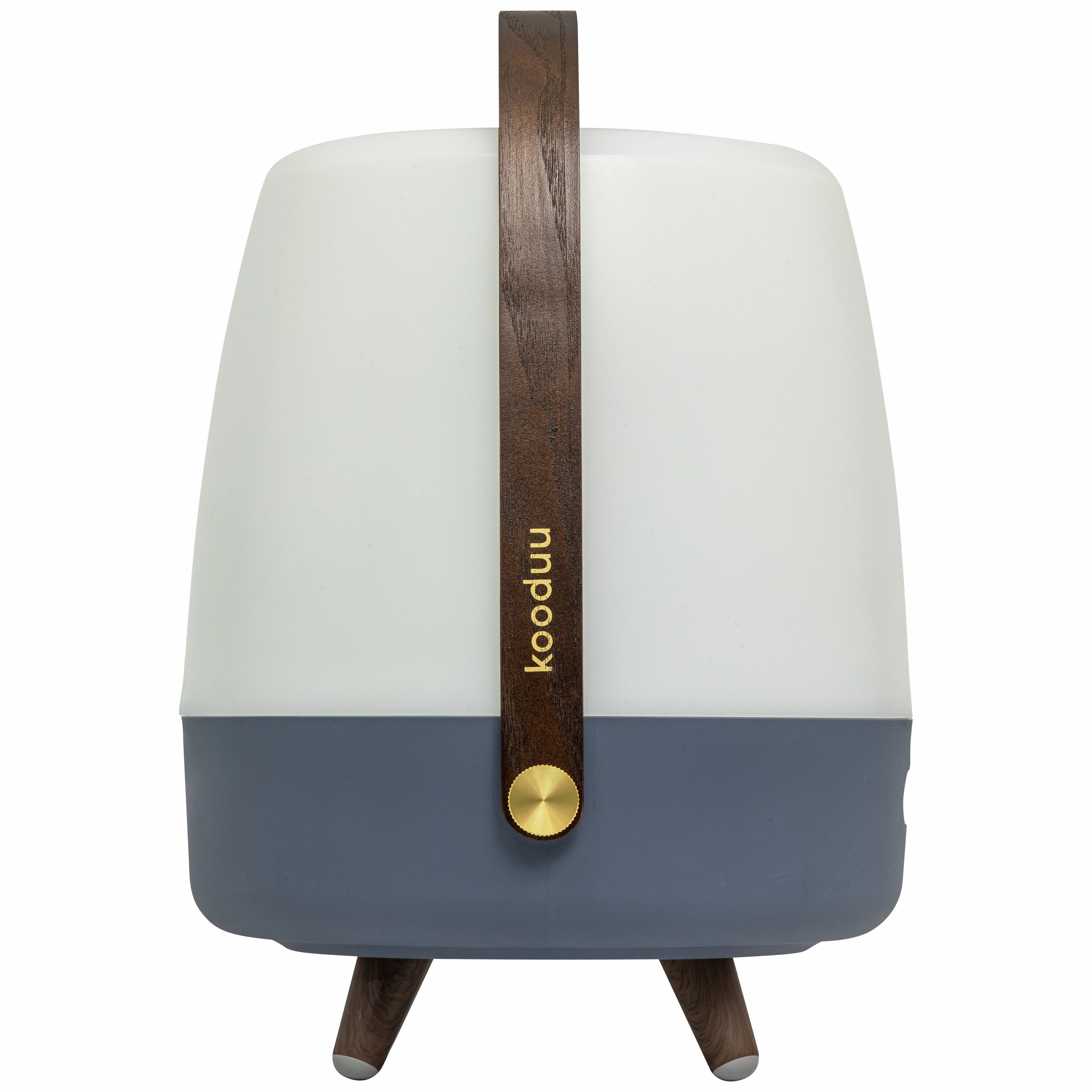 Lite Up Play Rechargeable Indoor/Outdoor Speaker Lamp