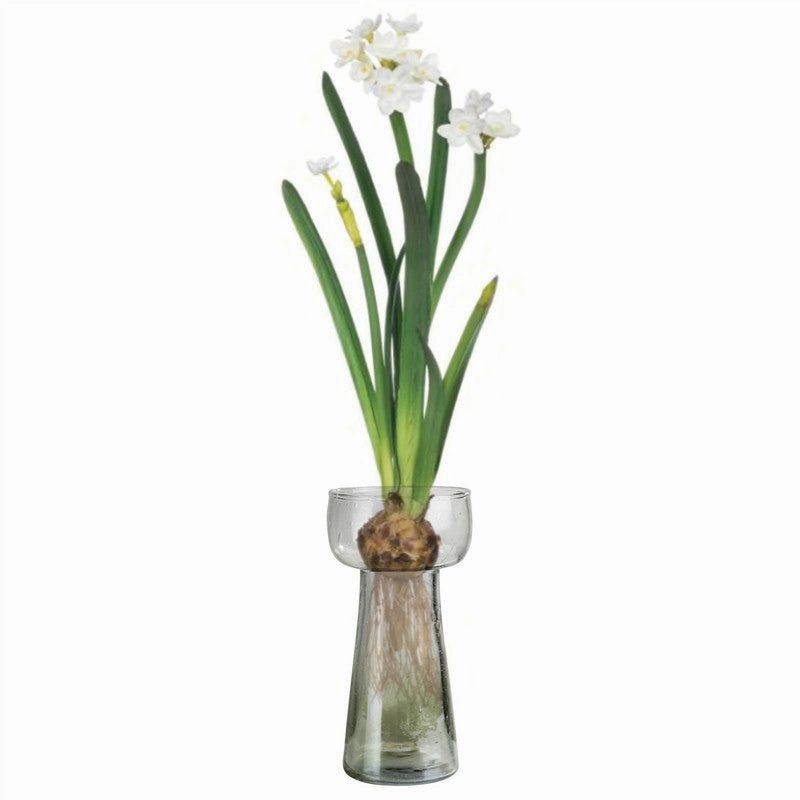 Lucidia Bulb Vase