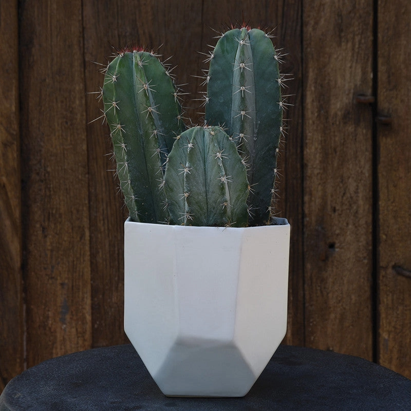Lund Ceramic Vase - Med