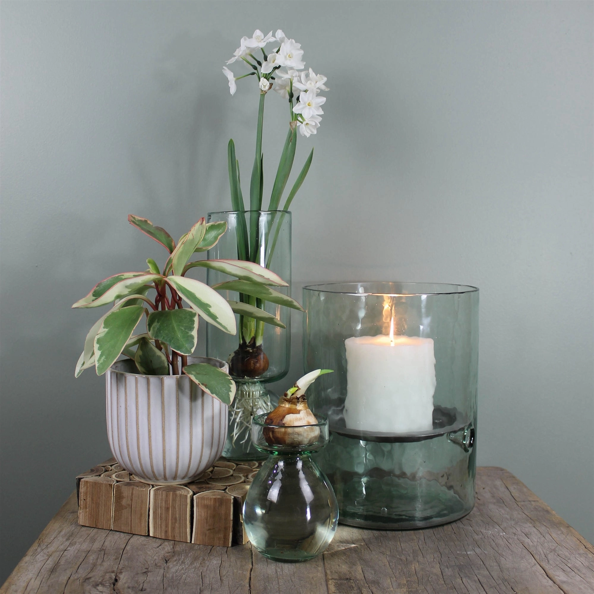 Lyna Scalloped Cachepot, Ceramic - White Vase,Ceramic Vase