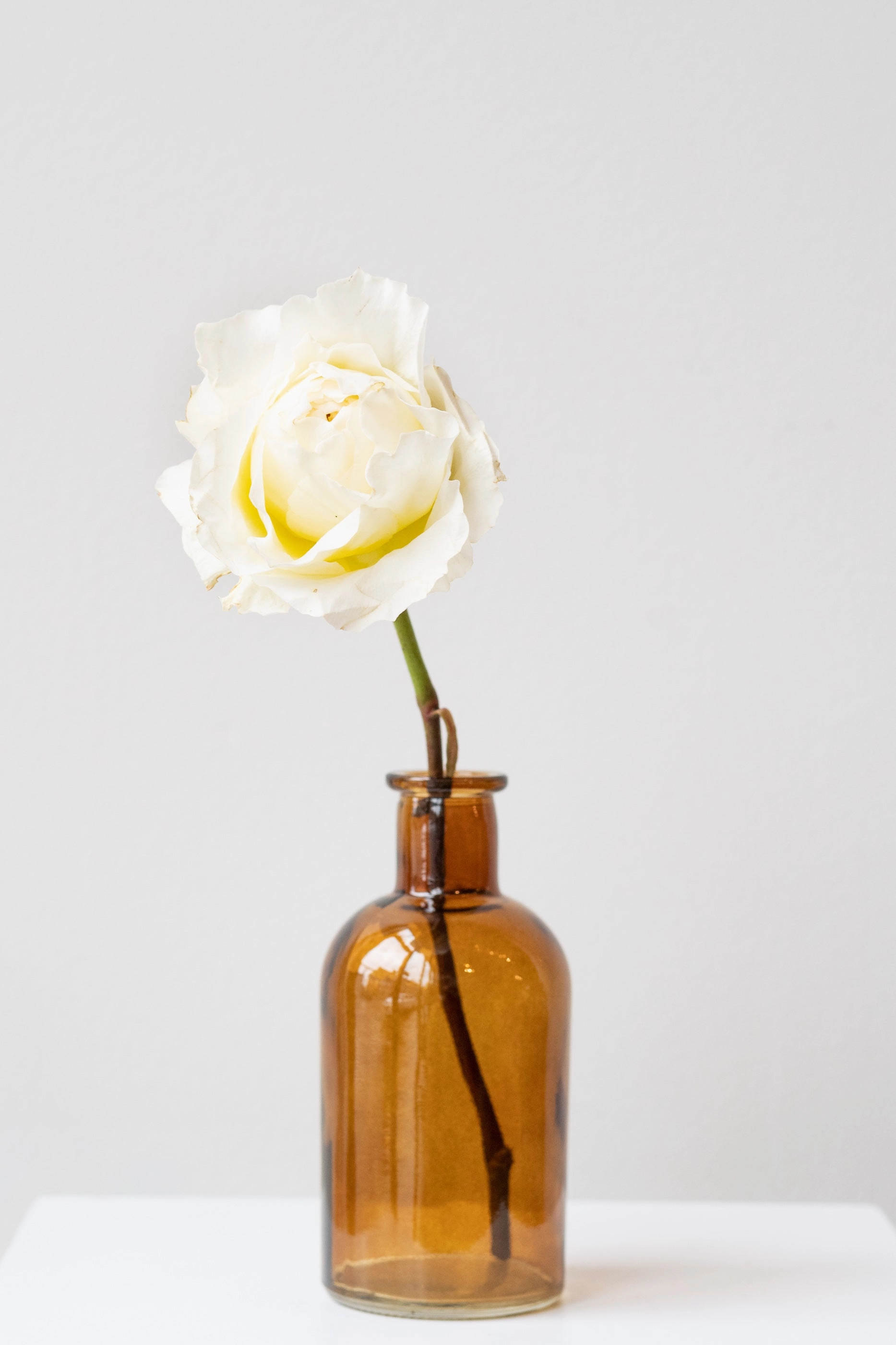 Medicine Bud Vase Amber