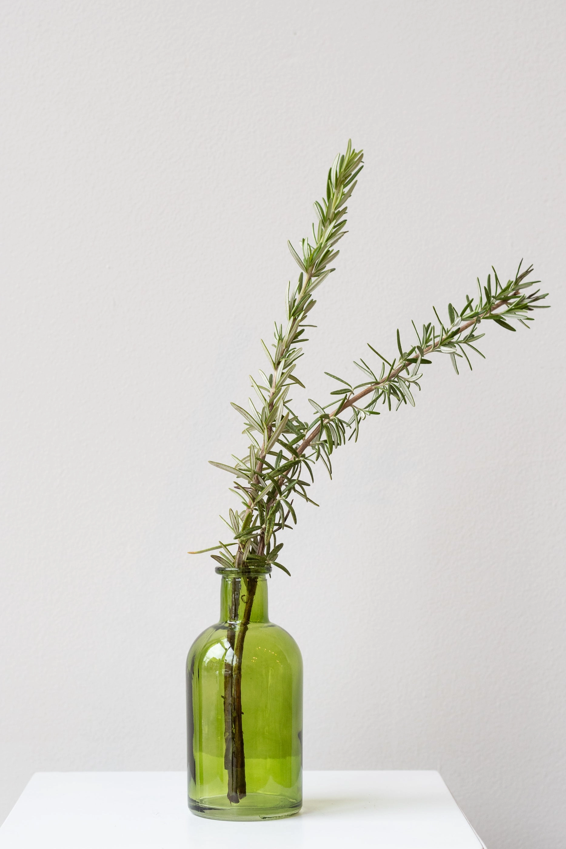 Medicine Bud Vase Green