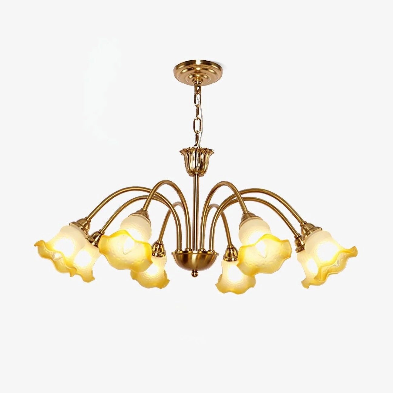 Morning Glory Chandelier chandelier,ceiling light,decorative lighting