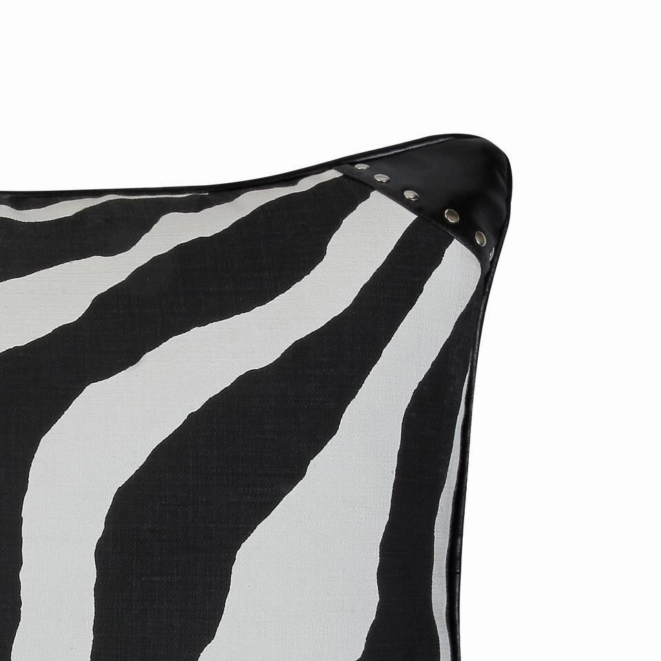 Mountain zebre Black & White