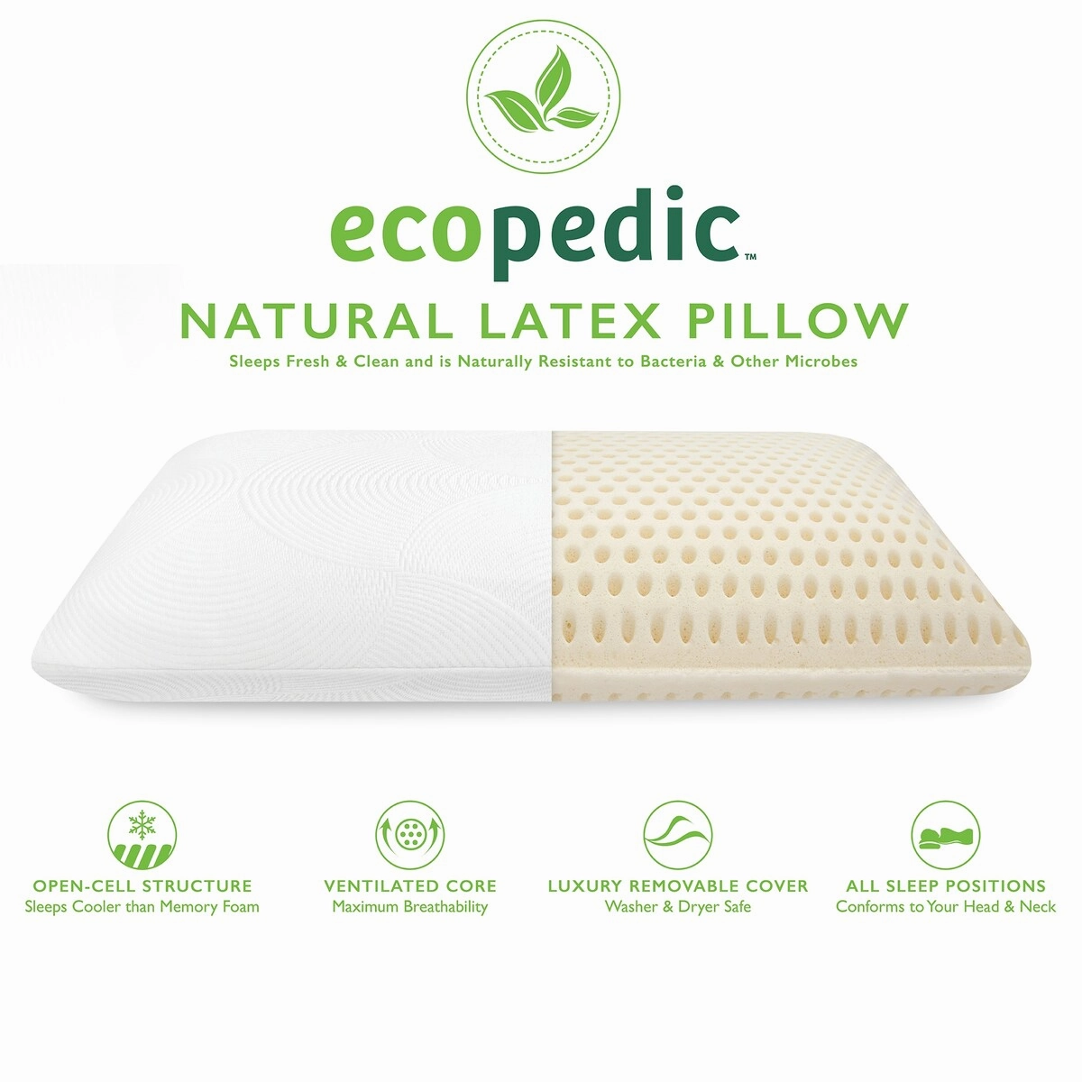 Natural Talalay Latex Standard/Queen Bed Pillow by EcoPEDIC