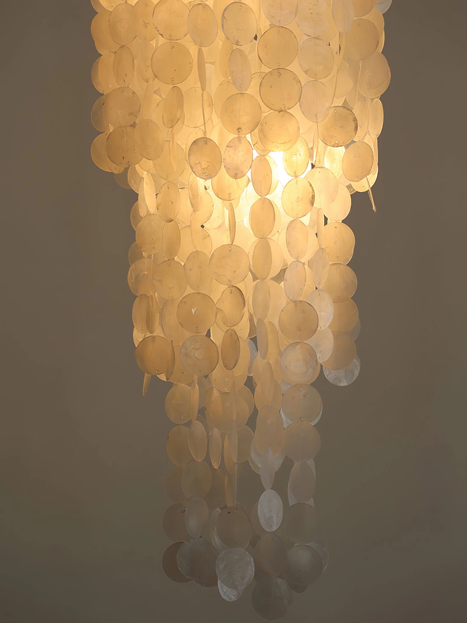 Nerida Shell Chandelier