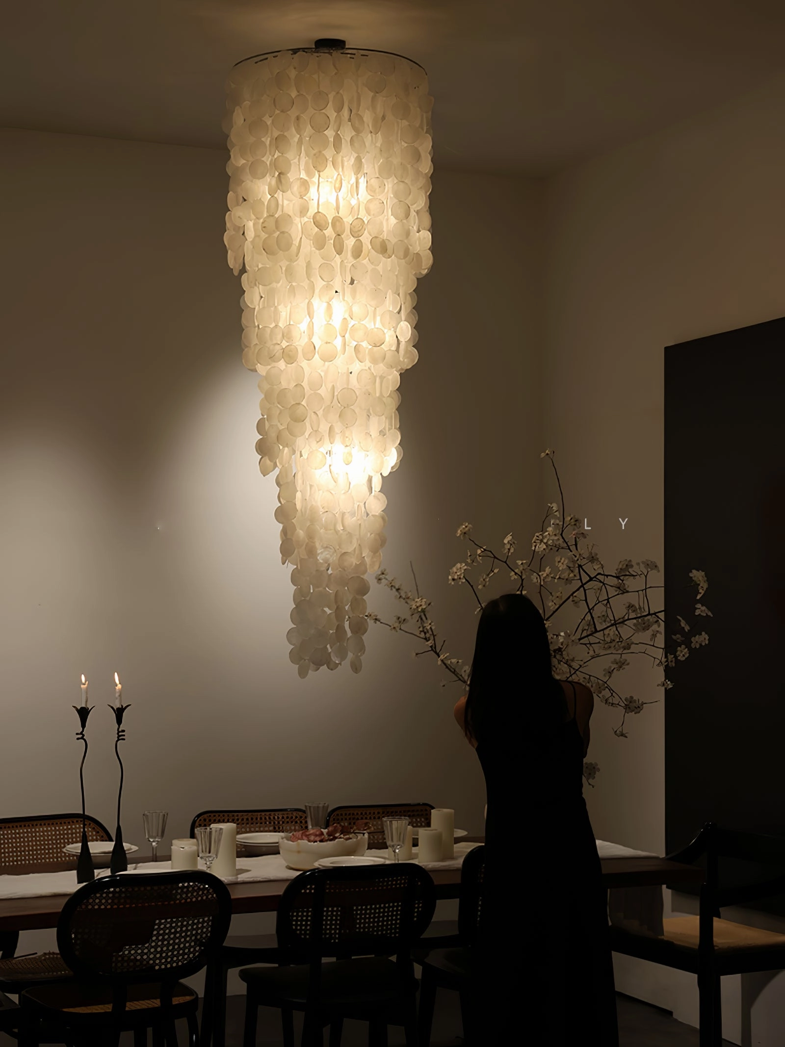 Nerida Shell Chandelier