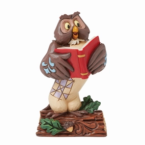 Owl Winnie the Pooh Mini Decorative Mirror,Wall Mirror