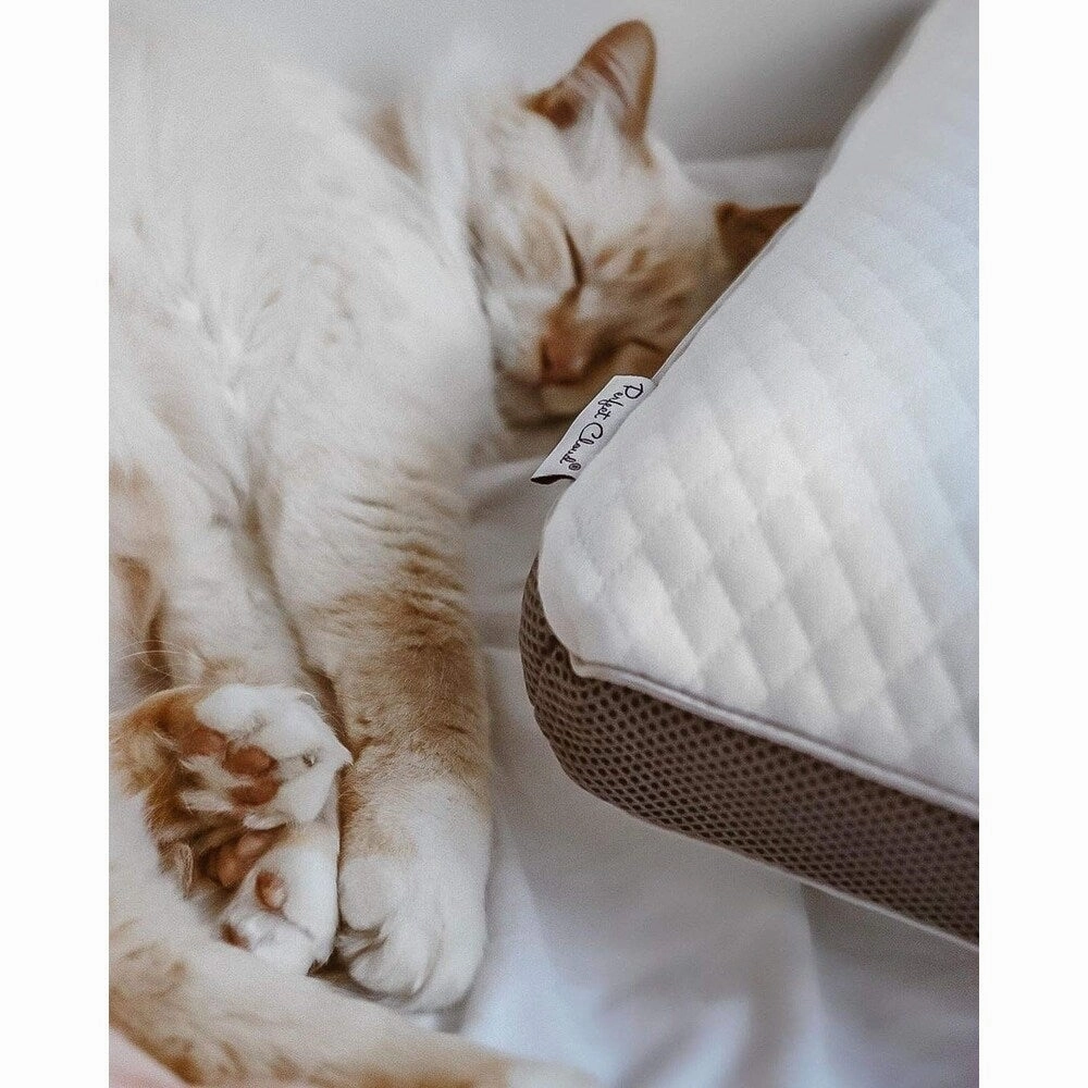Perfect Cloud Dual Option Cooling Gel Pillow
