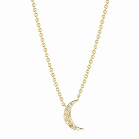 Petite Penny Galaxy Moon Necklace