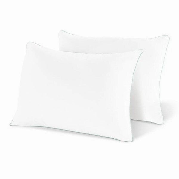 Porch & Den Eischen Gel Fiber Pillow (Set of 2)