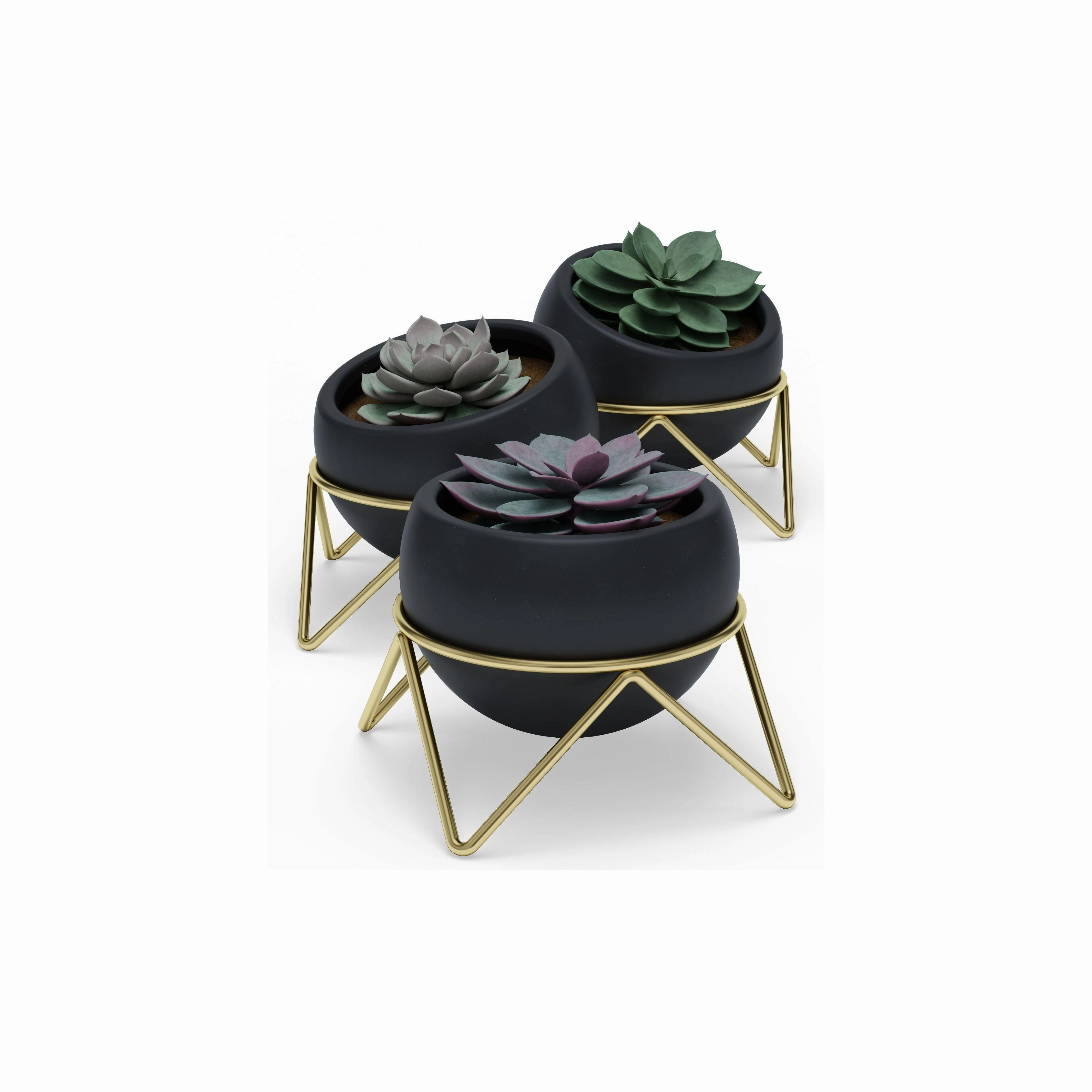 Potsy Planter (Set of 3)