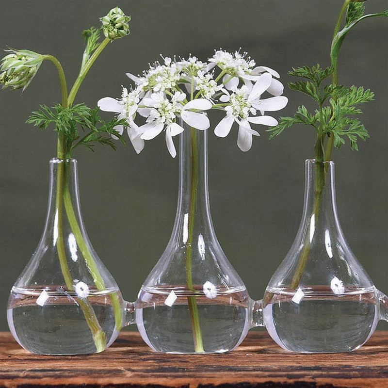 Quintet Glass Vase