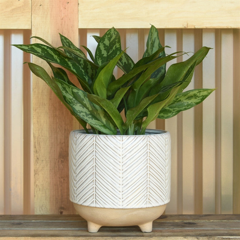 Ramos Chevron Cachepot, Stoneware - 6"