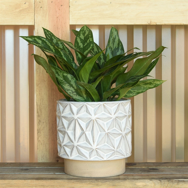 Ramos Geometric Cachepot, Stoneware - 6"