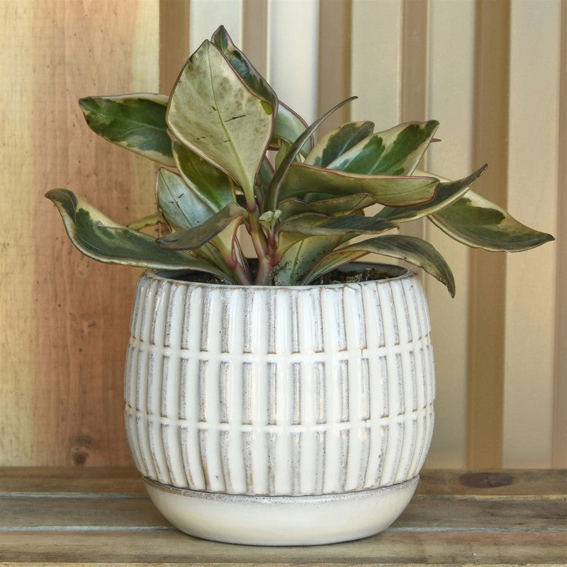 Ramos Linear Cachepot with Saucer, Stoneware - 4"