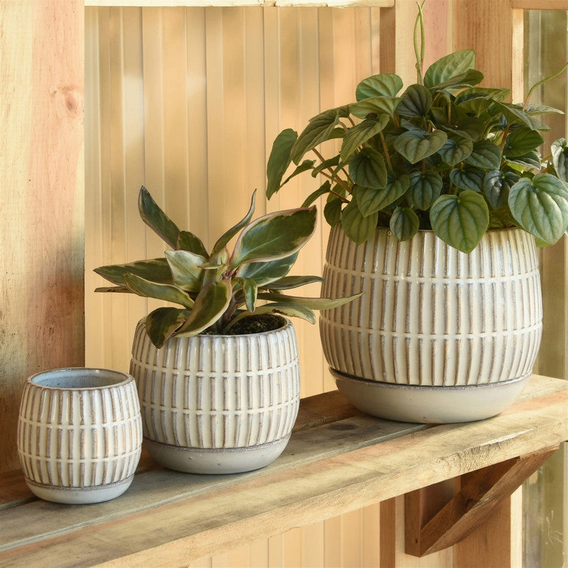 Ramos Linear Cachepot with Saucer, Stoneware - 4"