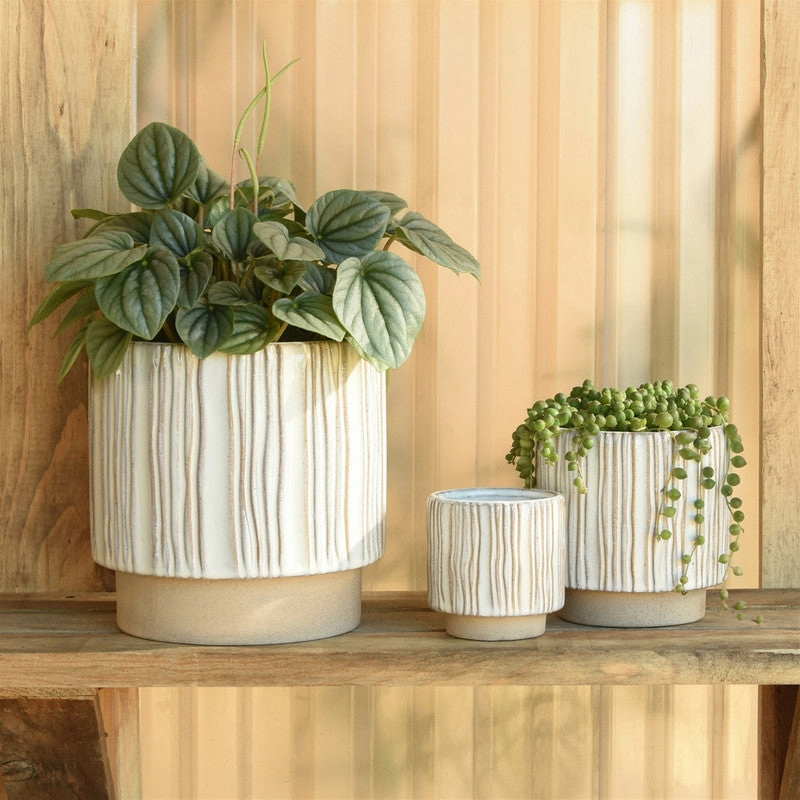 Ramos Vertical Stripe Cachepot, Stoneware - 2.5"