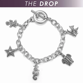 Rare Wonders The Drop Silver Link Beach Charm Bracelet