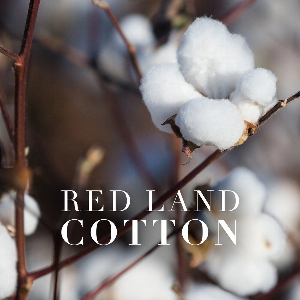 RED LAND COTTON Madeline Gray Down Alternative Euro Pillow - White
