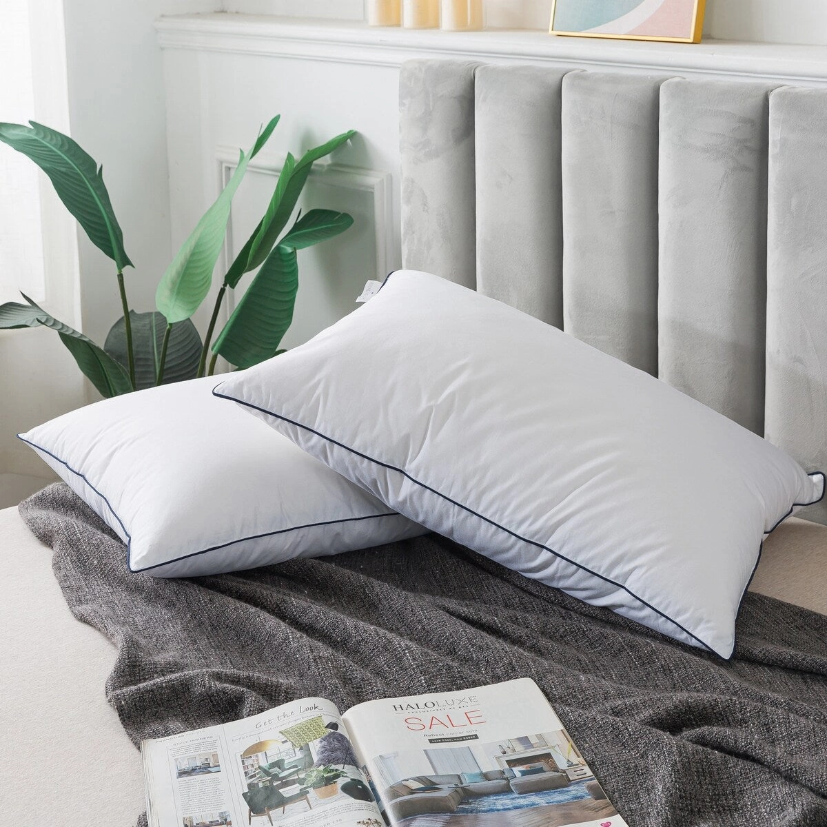 Royal Velvet White European Down and Nano Feather Pillow