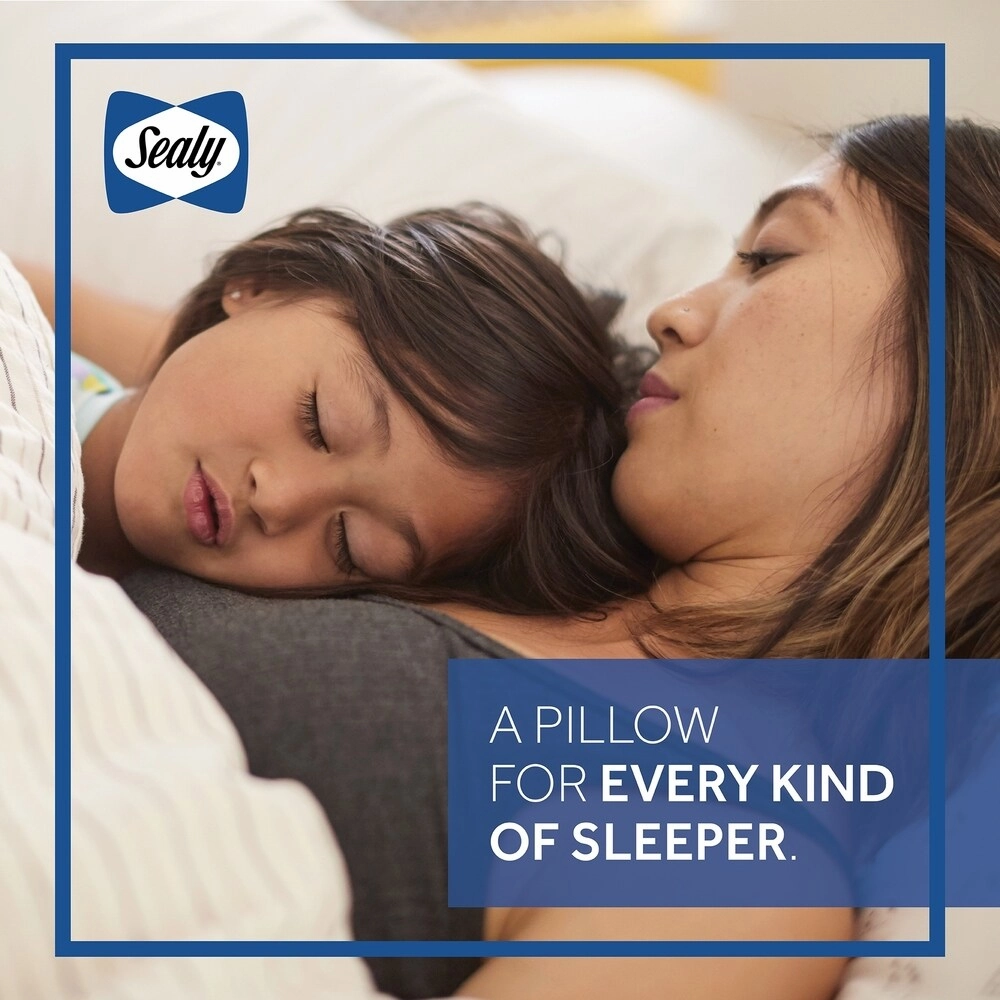 Sealy Conform Memory Foam Bed Pillow