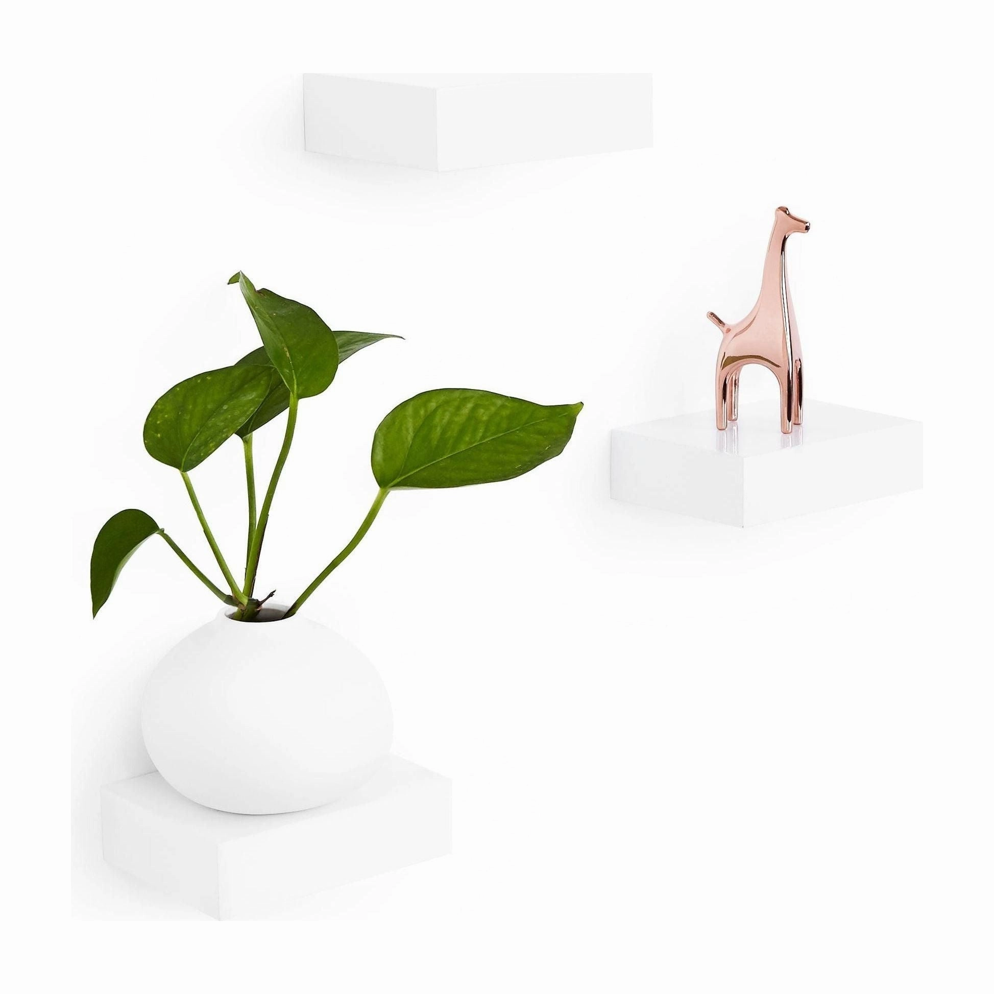 Showcase Floating Shelves