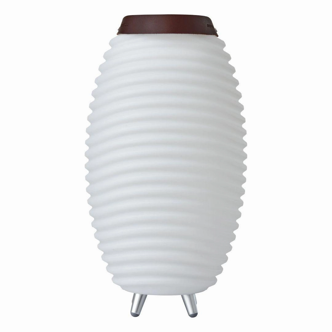 Synergy 50 Rechargeable Indoor/Outdoor Speaker Lamp Miscellaneous,home essentials bundle