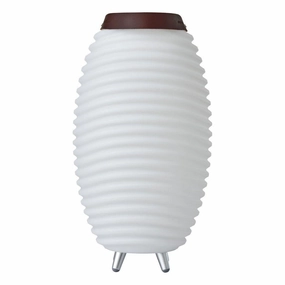 Synergy 50 Rechargeable Indoor/Outdoor Speaker Lamp Miscellaneous,home essentials bundle