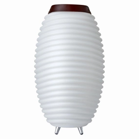 Synergy 65 Rechargeable Indoor/Outdoor Speaker Lamp Miscellaneous,home essentials bundle