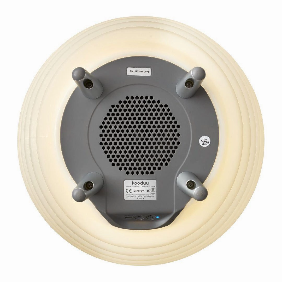 Synergy 65 Rechargeable Indoor/Outdoor Speaker Lamp