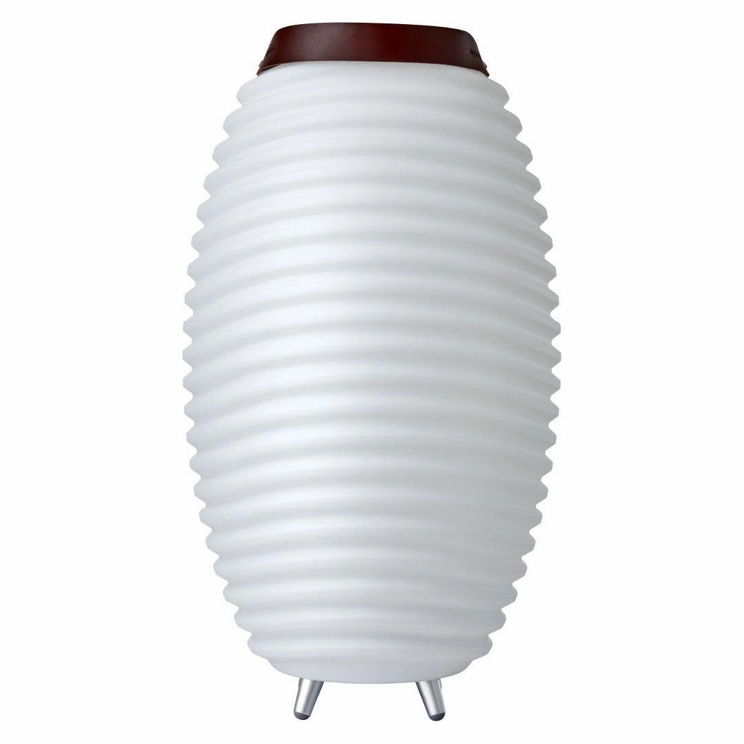 Synergy 65 Rechargeable Indoor/Outdoor Speaker Lamp Miscellaneous,home essentials bundle