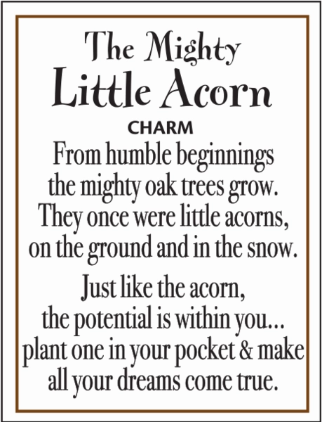 The Mighty Little Acorn Token Charm