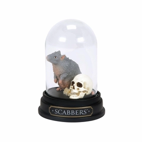 The Wizarding World of Harry Potter Scabbers Rat Curiosity Cloche 3.75" Decorative Mirror,Home Decor Mirror