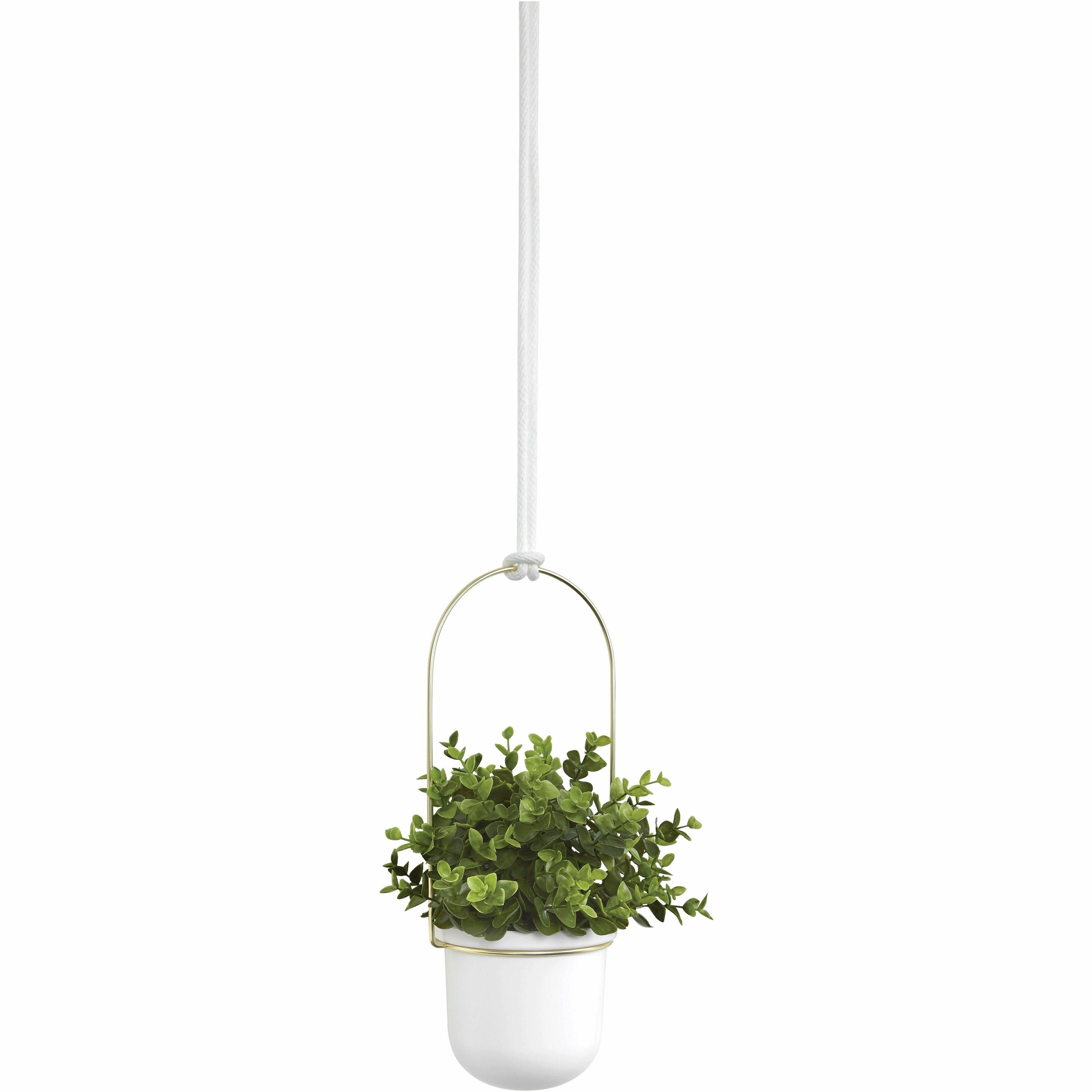 Triflora Hanging Planter