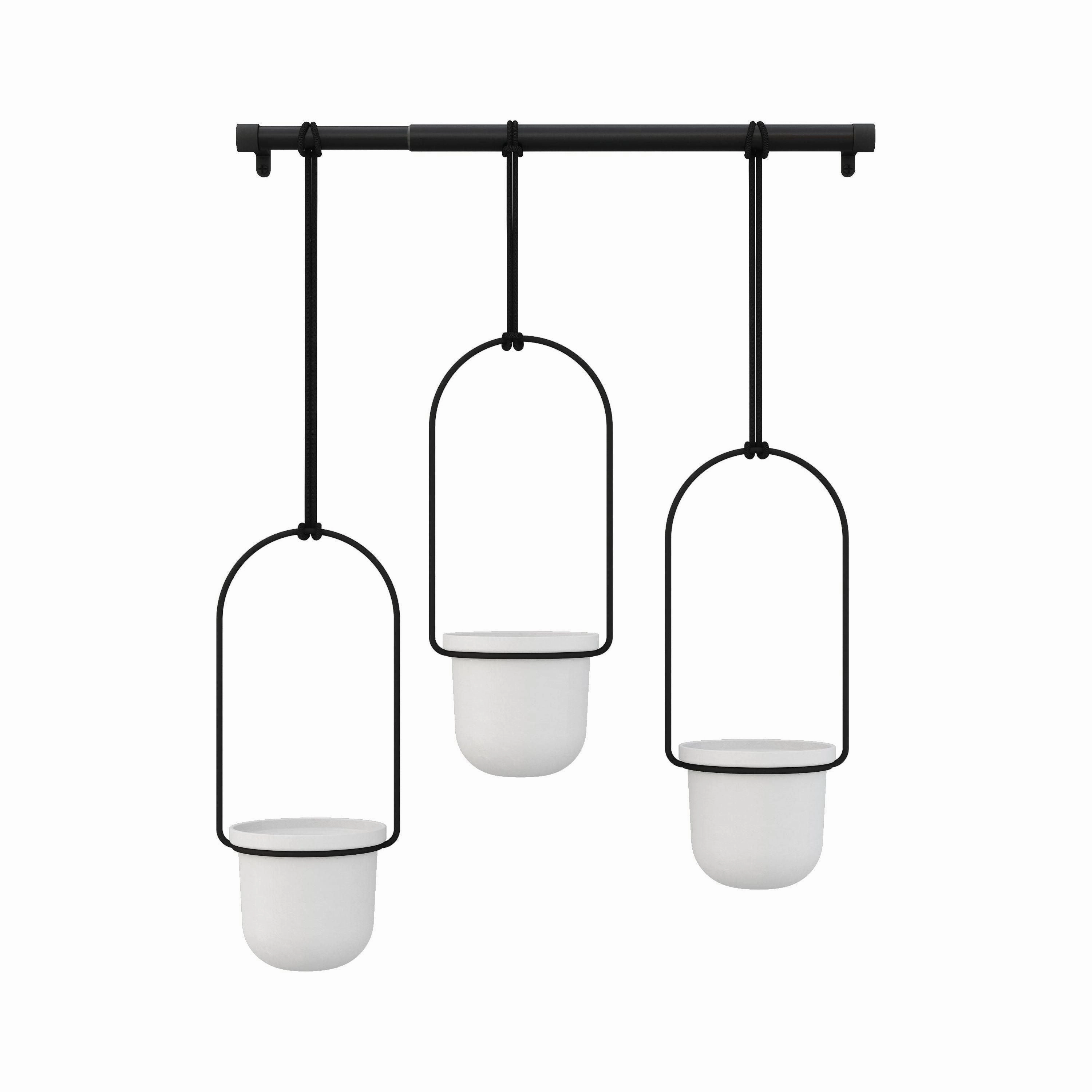 Triflora Hanging Planter