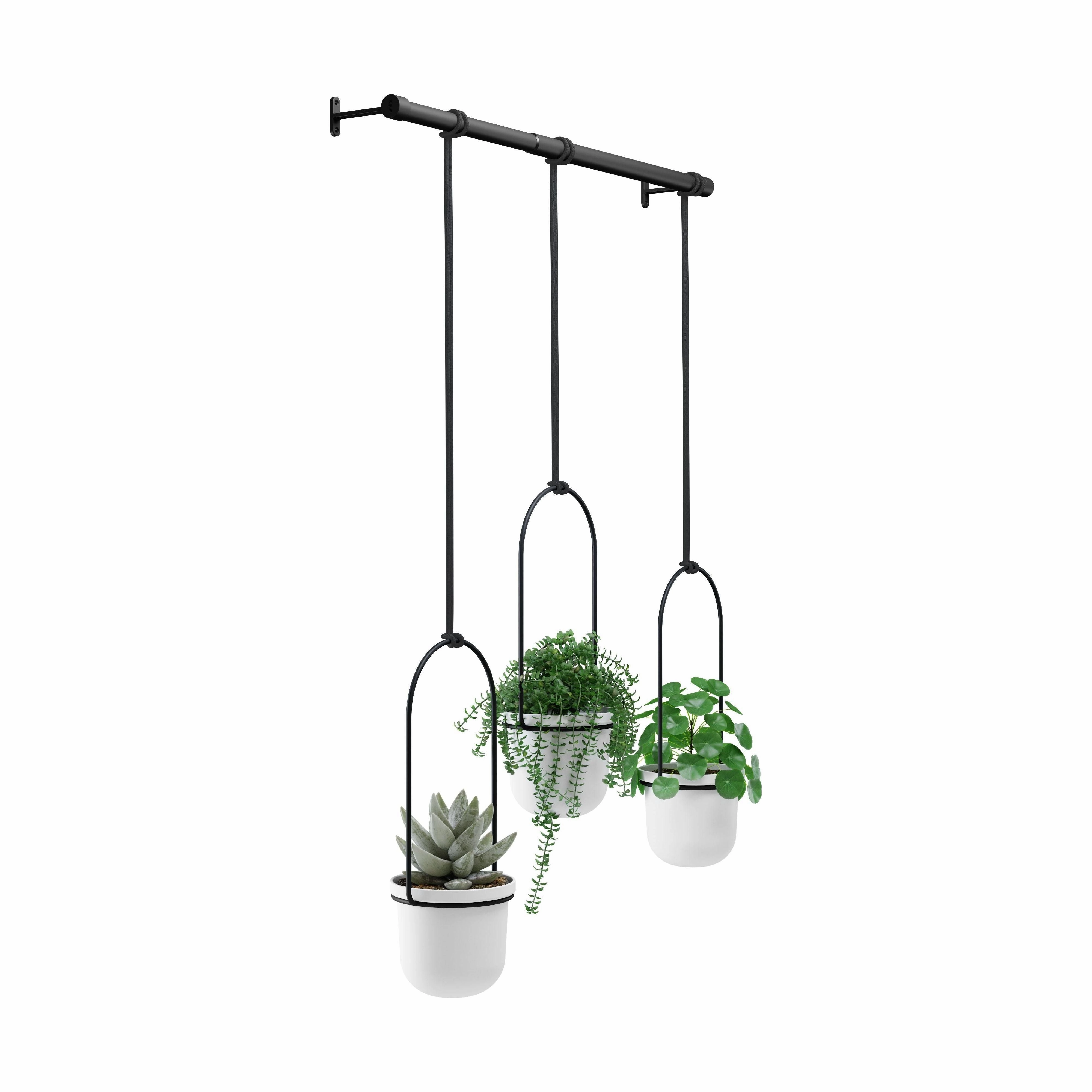 Triflora Hanging Planter