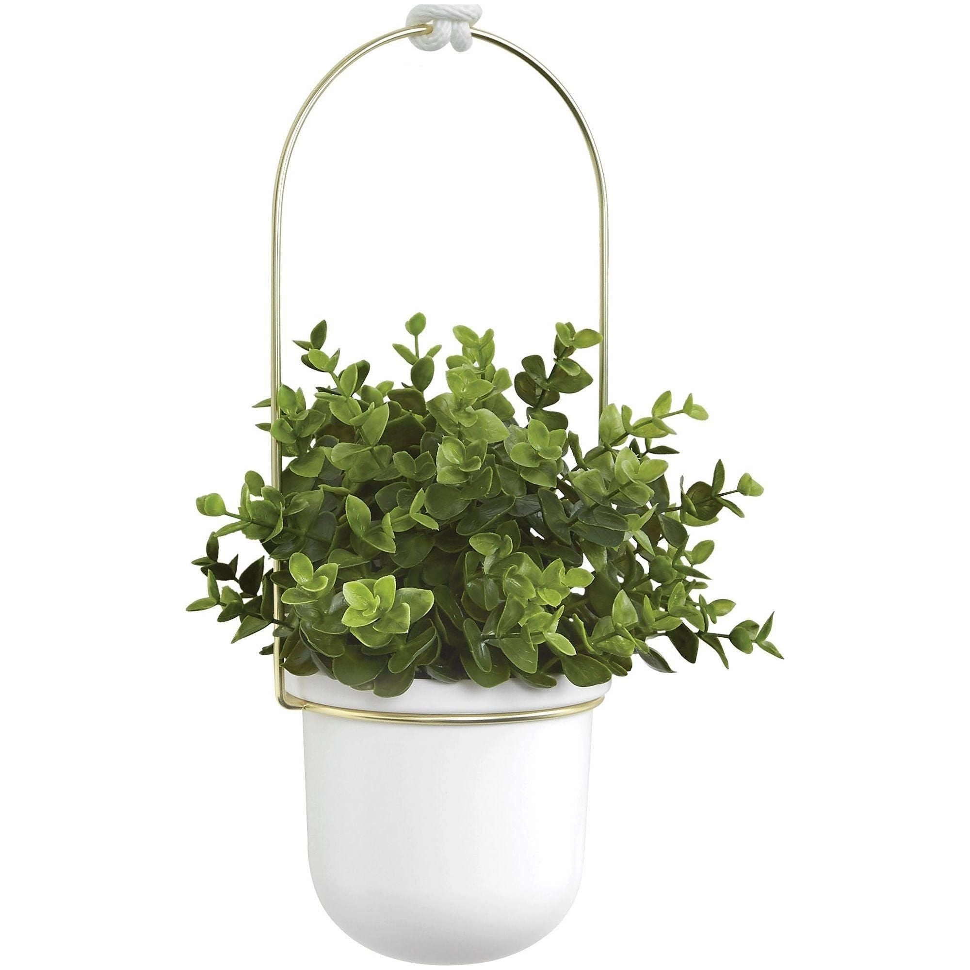 Triflora Hanging Planter