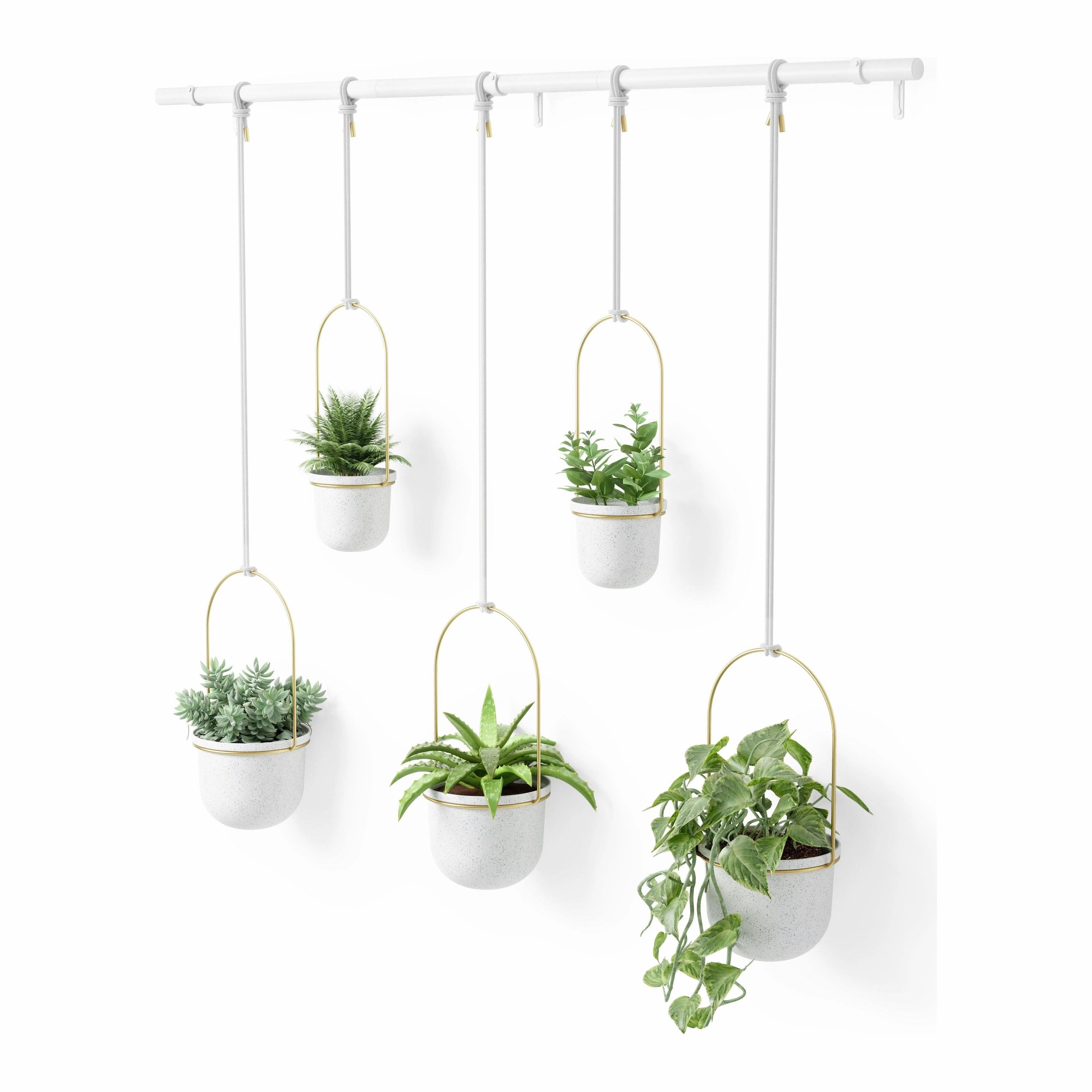 Triflora Hanging Planter (Set of 5)