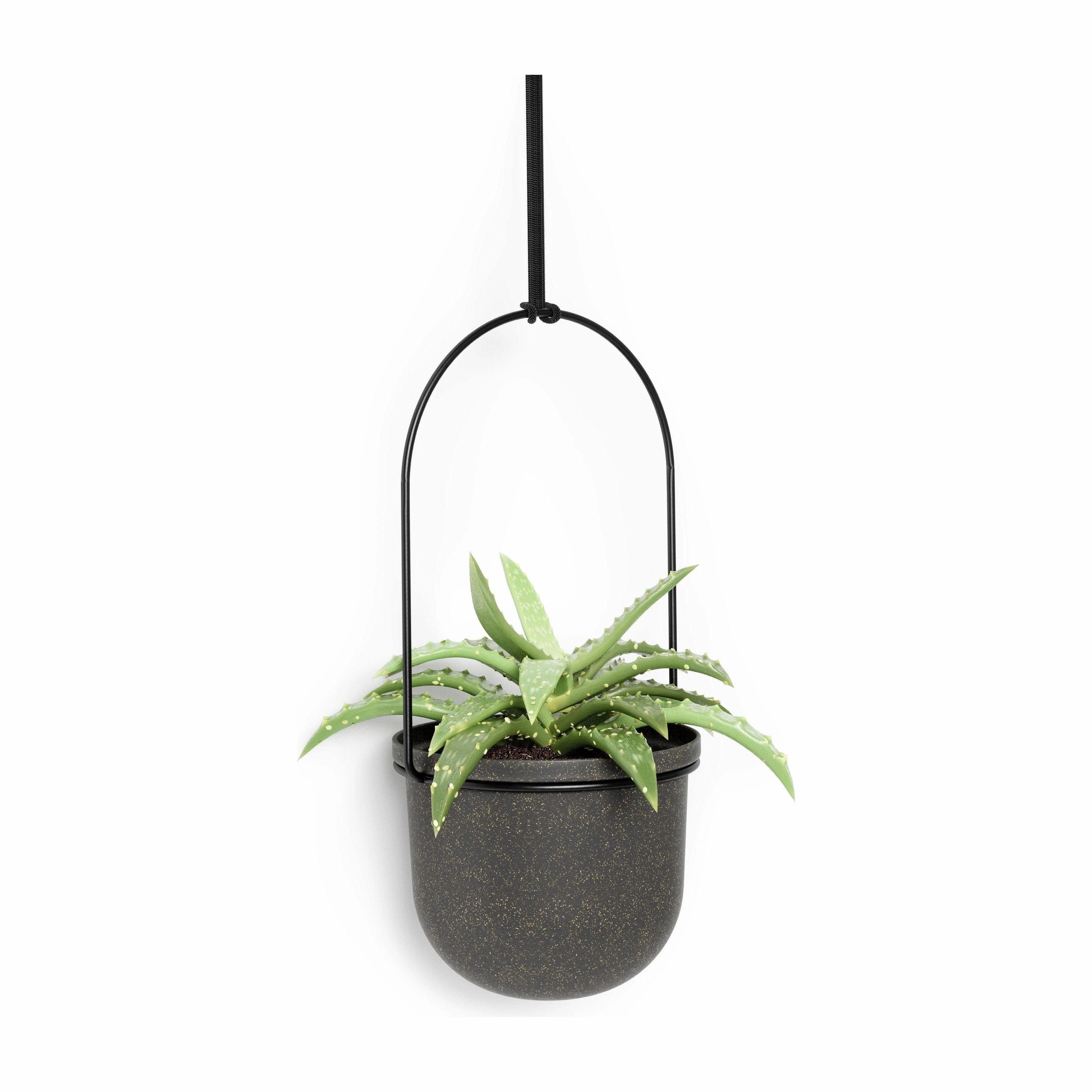 Triflora Hanging Planter (Set of 5)