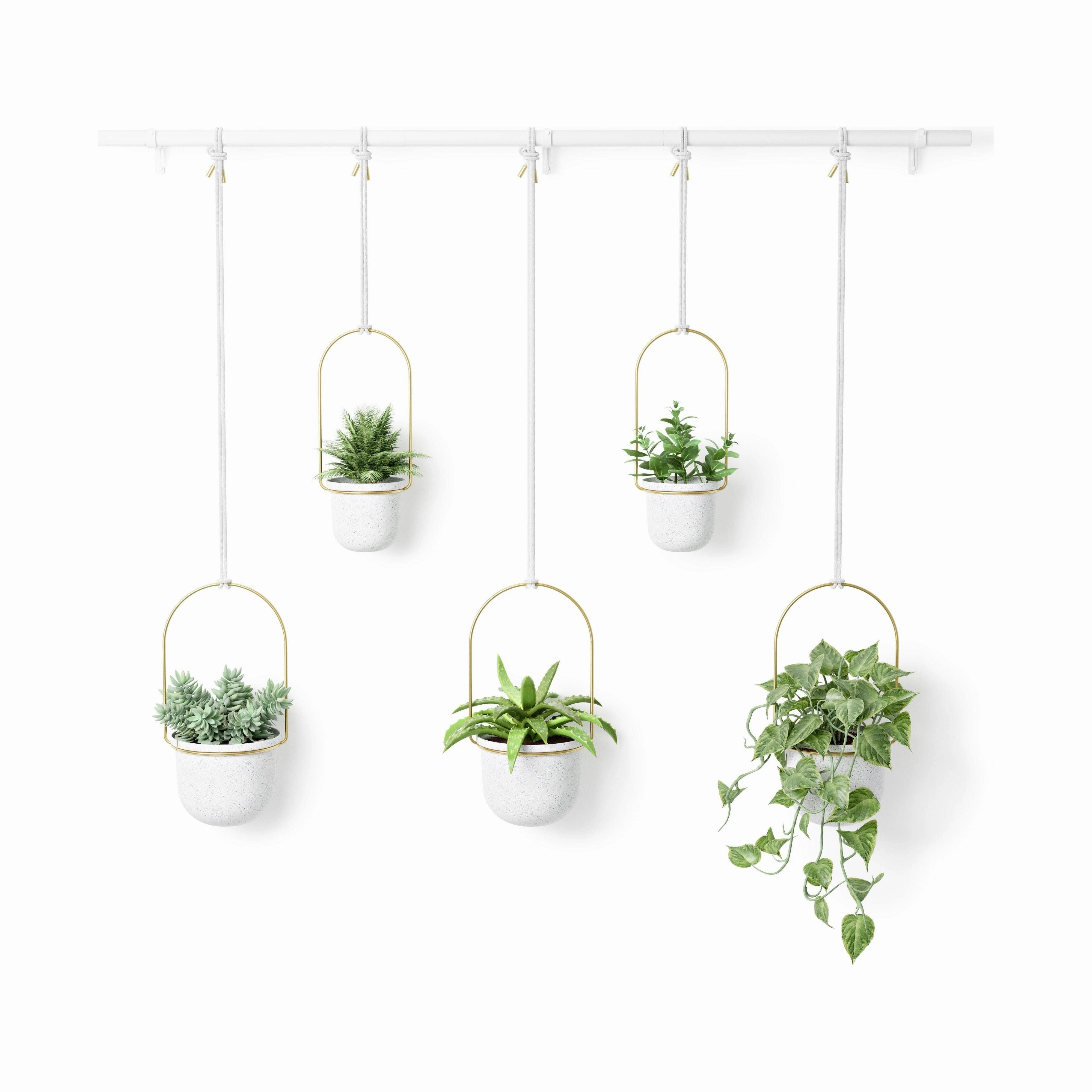 Triflora Hanging Planter (Set of 5)