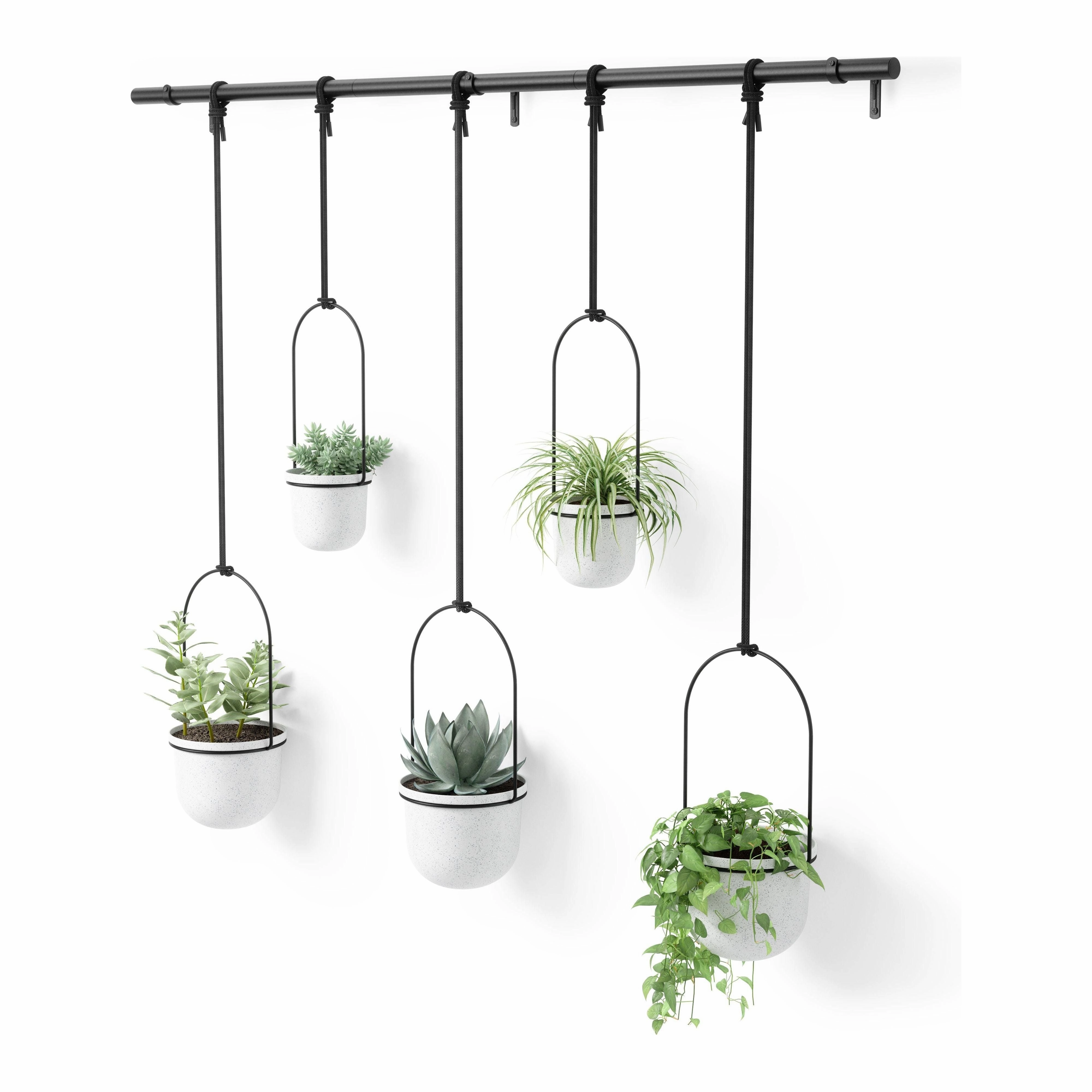 Triflora Hanging Planter (Set of 5)
