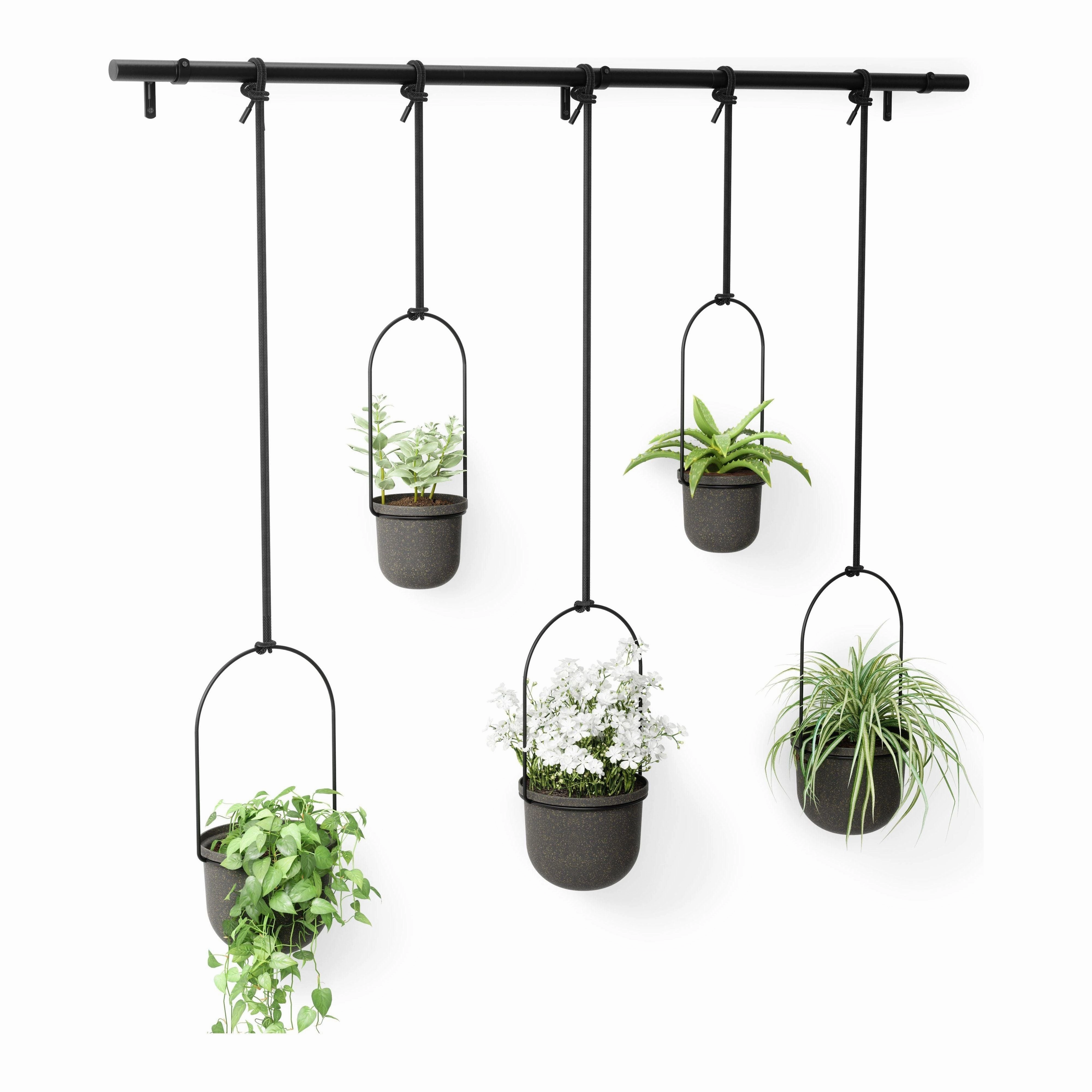 Triflora Hanging Planter (Set of 5)