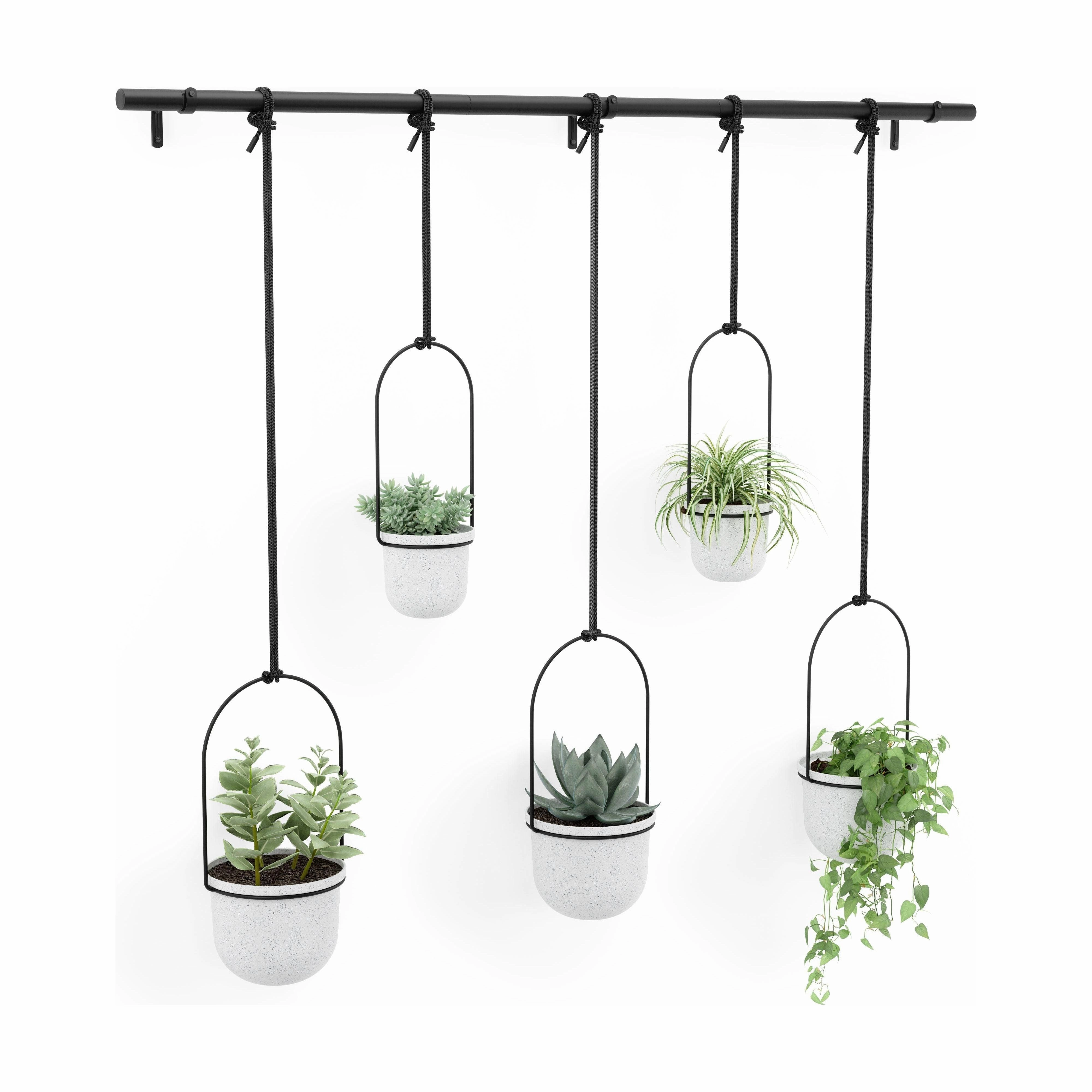 Triflora Hanging Planter (Set of 5)