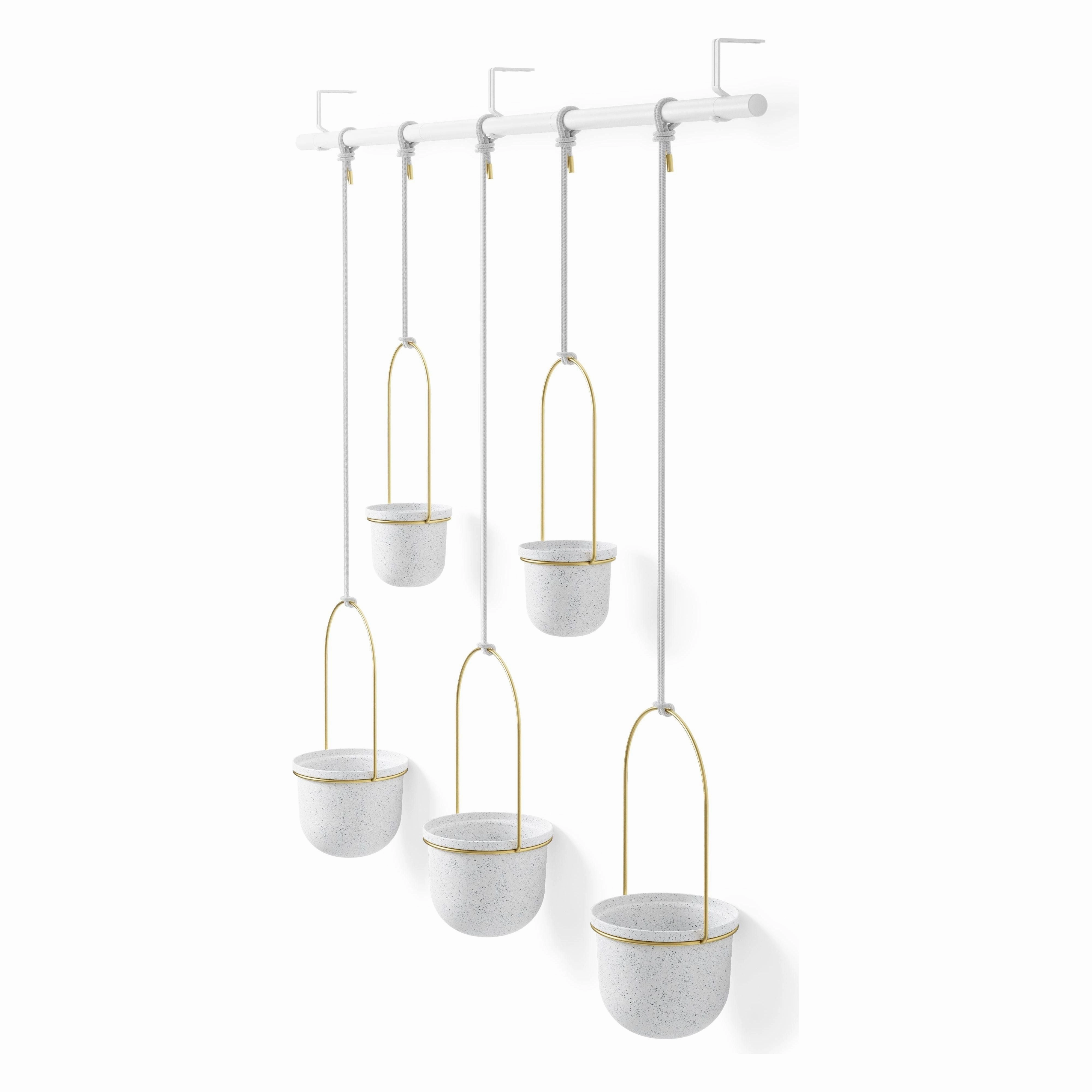 Triflora Hanging Planter (Set of 5)